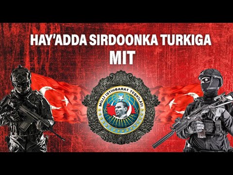 Hay&rsquo;adda sirdoonka Turkiga | MIT || TAABAGAL