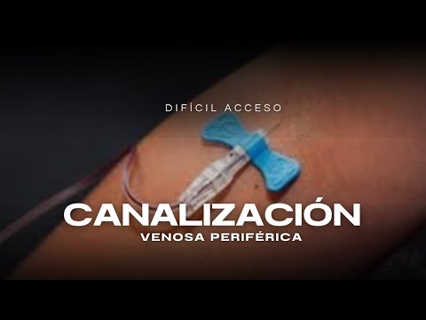 Video: ¿Vena es fácil de aprender?