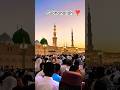 madina Ham vahan jakar wapas  subhanallah ❣️ #love #viral #trending #allah #islamicquotes #islamic