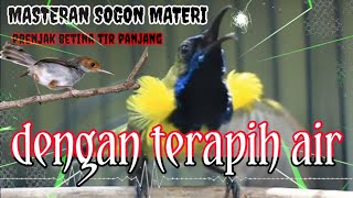 MASTERAN SOGON MATERI,PRENJAK TIR PANJANG dengan terapih suara air