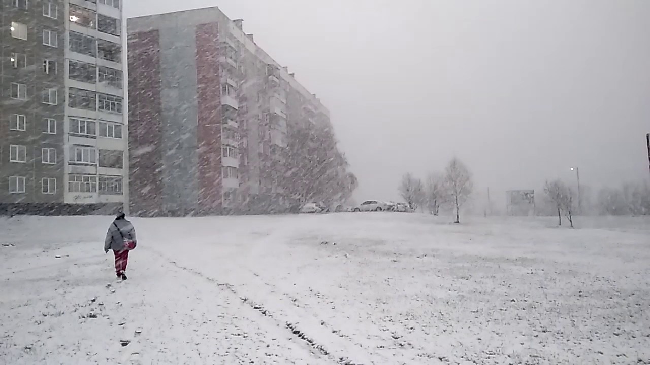 Погода заринск на 10 дней точный прогноз