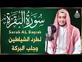 سورة البقرة كاملة رقية للبيت وعلاج للسحر القارئ علاء عقل   