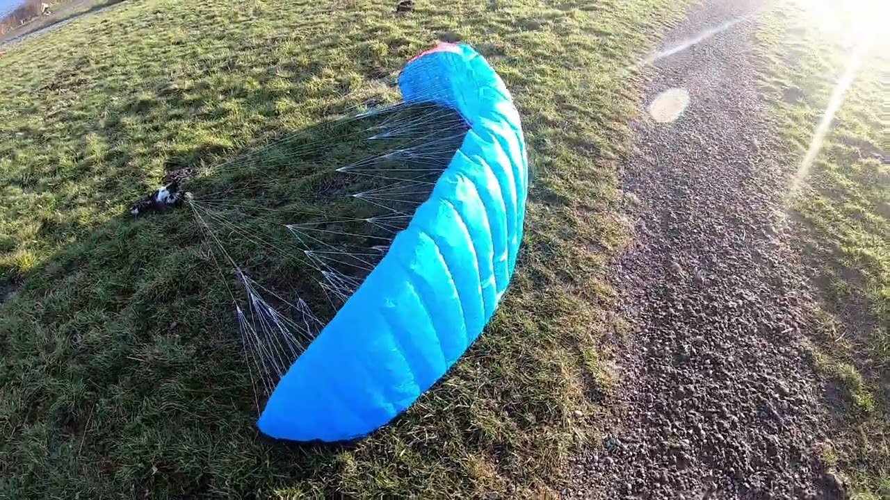 Jin Jin Wings Futura 3 0