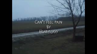 Heartsjayy - Can’t feel Pain [interlude] (Lyric Video)