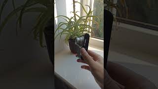 💥Camera Sony Cyber-Shot DSC-W800 Black 20.1MP digital vintage compact retro rare💥WORKing CHEAP💥