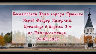 Проповедь Иерея Феодора Нагорного в Неделю 3-ю по Пятидесятнице. 25.06.2023