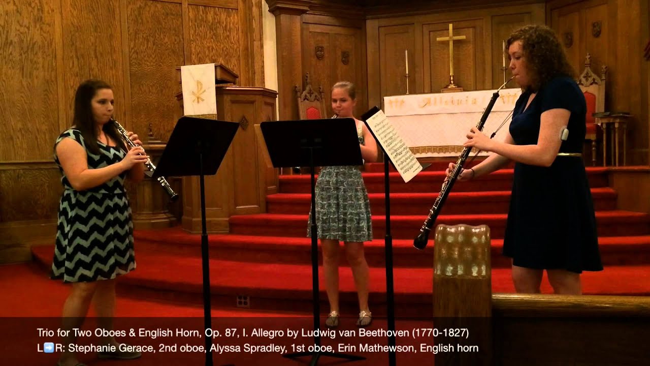1. Trio for Two Oboes & English Horn, Op. 87, I. Allegro by Ludwig van