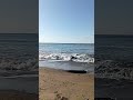 Одесское море 5 мая 2023 Фонтанка