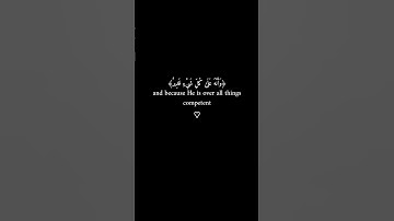 #like #اكسبلور #تابعوني #explore #لايك #راحة_نفسية قران كريم راحة نفسية غذاء الروح ♥️