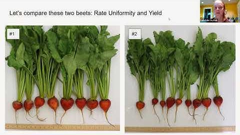 What is a Variety Trial + SeedLinked Q&A
