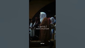 تلاوة تفوق الخيال بصوت #ياسر_الدوسري #القرآن_الكريم #quran #الصلاة #تلاوة_خاشعة #تلاوة_هادئة