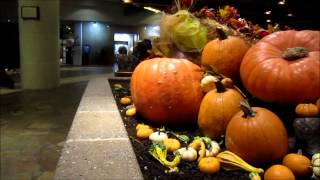 Black Thursday, Counting Pumpkins (Thanksgiving 2012)