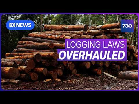 Uncertainty over the future of Tasmania's native forest logging industry | 7.30