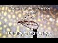 53 partridge and orange
