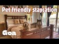A day in Goa with our Dogs | Pet friendly cafe | Morjim beach