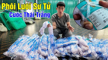 Phôi Lưới Sư Tử Biển - Hàng Thái Lan Về Tự Gia Công | Zalo: 0396.23.9999