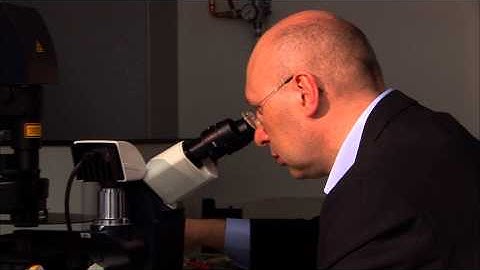 Stefan Hell - STED microscope