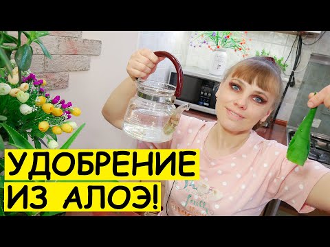 Удобрение из алоэ / Органический стимулятор роста из АЛОЭ