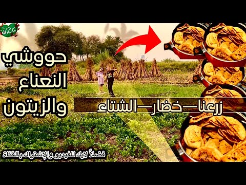 أحلى حووشي صعيدي عملناه بإيدينا وزرعنا خضار الشتاء و أجواء ريفية جميل في البيت الأخضر