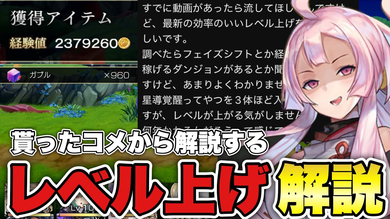 〖アナデン〗貰コメ解説　各ステップ別レベリング手段と現状の最高効率についてまとめる