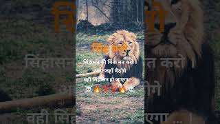 !!! BECOME A LION !!! #motivation #success #subscribe #HYPERNATURAL#TRY THIS SOUND