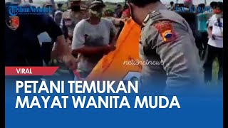 Seorang Petani Temukan Mayat Wanita Muda Dekat Sawah Di Kabupaten Tegal