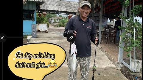 đi câu cá chẽm tại Cần giờ  lên cá mà ngộ lắm nha mọi người