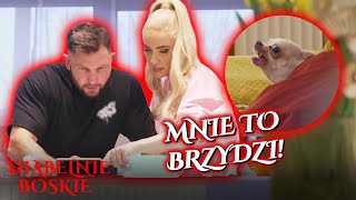 Iza i Patryk dostali PLAN DIETY DLA PIESKA! 🐶 | Diabelnie boskie