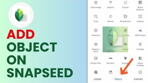 How to Add Object in Snapseed 2024?