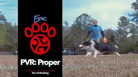 Epic Proper PVR | A Bird