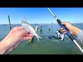 I Thought I Was SNAGGED!! Tossing LIVE BAITFISH into Structure (Saltwater Fishing)