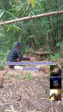 membersihkan di makam eyang demang joyo murti dan nyai sekar ayu #fyp #sorotanpublik