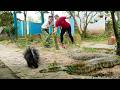 72 Hours Survival 🐍 Hunting Wild Porcupines - Giant Python Stalks Girl - Roasting a Whole Hedgehog!