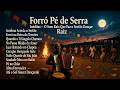 FORRO RAIZ 10 MUSICAS PARA VC CURTE
