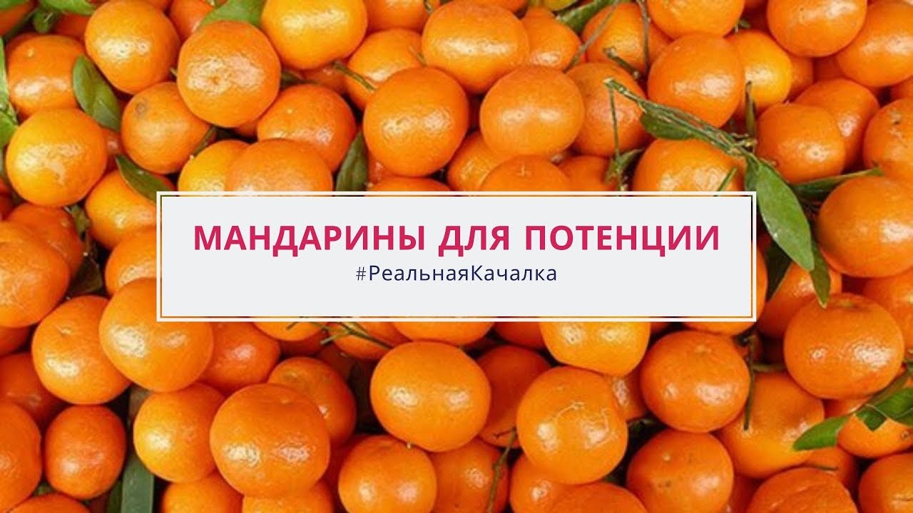 Как повысить потенцию МАНДАРИНЫ правда и мифы. Повышение потенции в ...