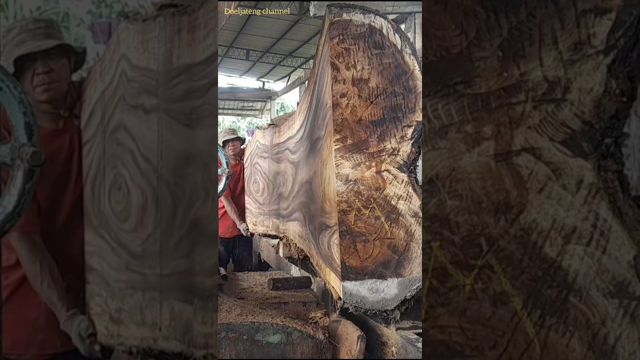 very lucky the saw got fibrous wood like flowers 