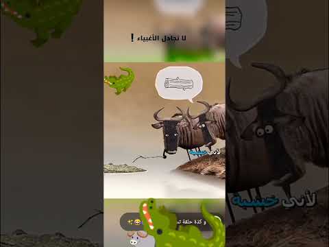 لا تجادل الاغبياء ولا ستندم هههههههههههه 