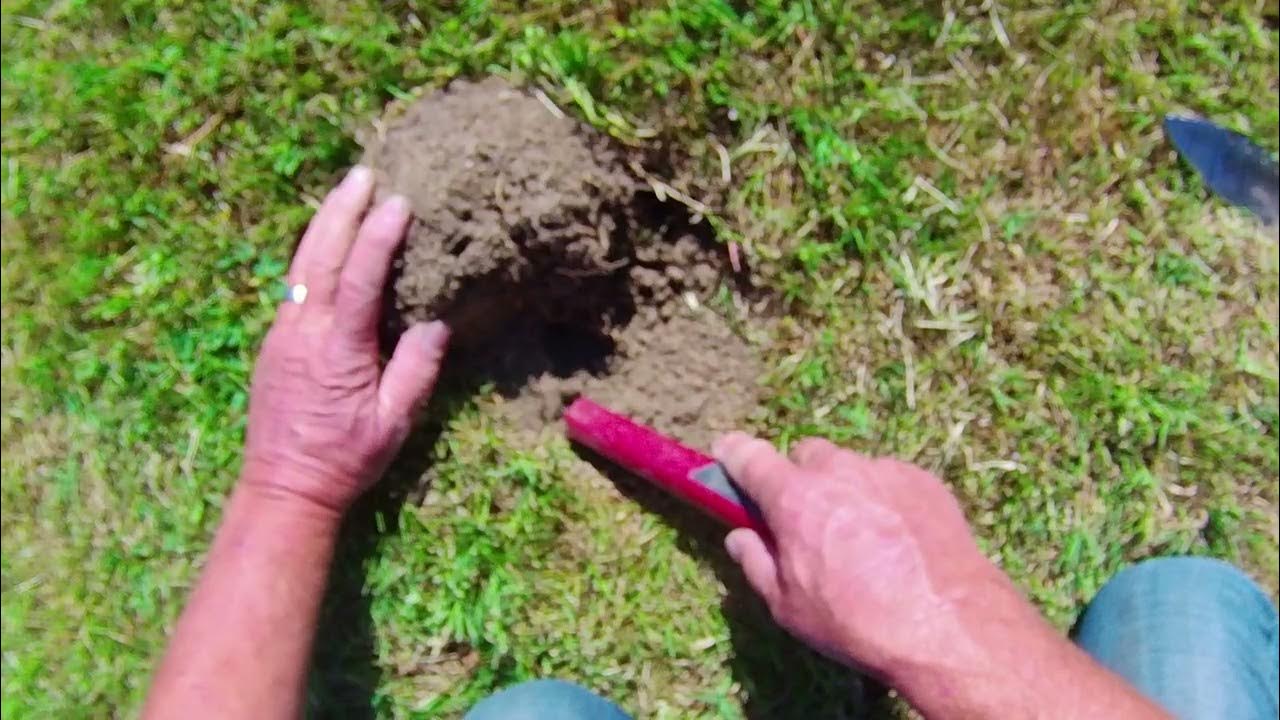 metal detecting out and about YouTube