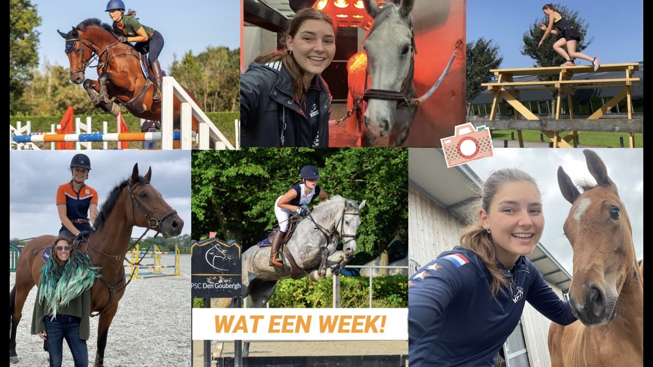 Trainingsweek Bij Olympisch Springruiter Dani Vlog 192 Kristy 