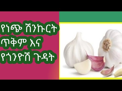 ቪዲዮ: ነጭ ሽንኩርት በሙቀጫ ውስጥ መጨፍለቅ ይችላሉ?