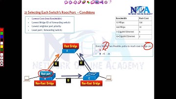 006 Root Port Selection  PART 1