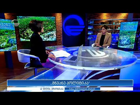 დღის ქრონიკა - 5 ოქტომბერი, 2020 წელი