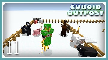 Cuboid Outpost Modpack | Animals & Jetpack! | E11 | 1.16.5 Quest Modpack