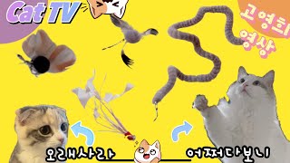 고영희영상 [Cat TV / Cat games / A video for cats ] 30 고양이가 좋아하는 영상 냥플릭스