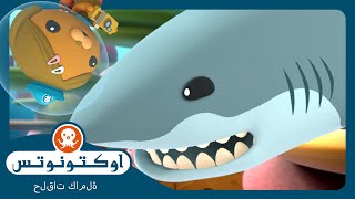 أوكتونوتس | 🪸 القرش الأبيض الكبير المخيف 🦈 | السلسلة 2 | الحلقة 3