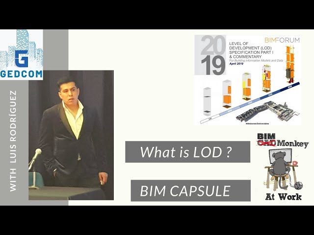 What is the LOD and how is it defined (introduction)?