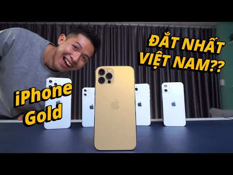 Màu Gold - iPHONE 12 PRO GOLD - PHIÊN BẢN MÀU ĐẮT NHẤT VIỆT NAM LÀ ĐÂY??? (ft. Dũng LV)