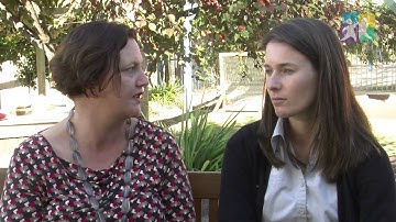 TAPS NQS PLP - The quality improvement process