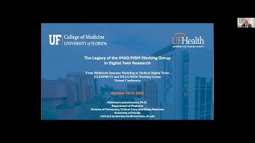 Legacy of IMAG:MSM Multiscale Modeling & Viral Pandemics Working Group in Digital Twin Research