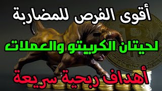 فرص مضاربية هامة على سوق العملات الرقمية سأقوم بمتابعتها حاليا والعمل عليها